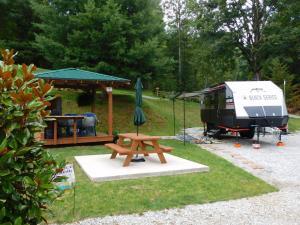 Site #5 (The Squerly Pine) at Deer Springs - Top rated RV Parks in Franklin, NC
