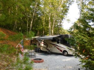 Looking into Site #11
