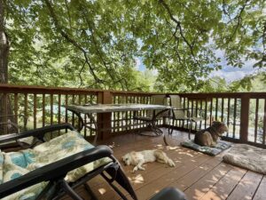 518841835_10235181466772998_4978450901822232114_n