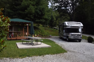 Site #5 (The Squerly Pine) at Deer Springs - Top rated RV Parks in Franklin, NC